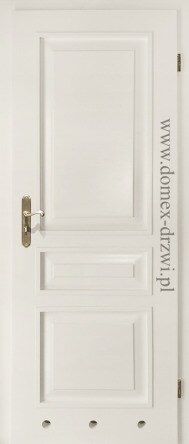 Drzwi wewnętrzne - Numer katalogowy 189