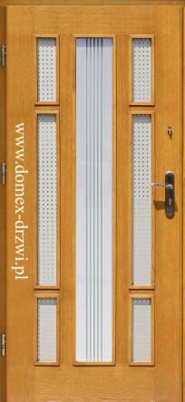 Drzwi zewnętrzne - Numer katalogowy 234